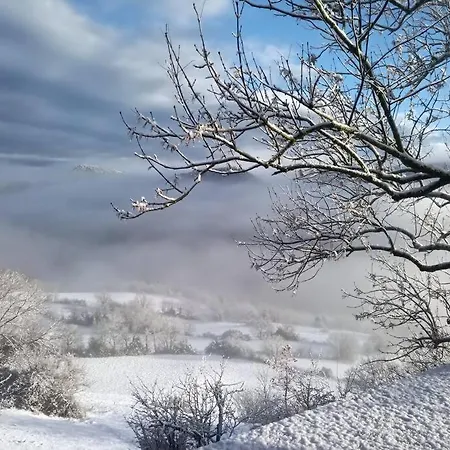 Charmante Petite Maisonnette *